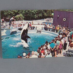 Vintage Postcard - Vancouver Aquarium Orca Show - Natural Color Productions
